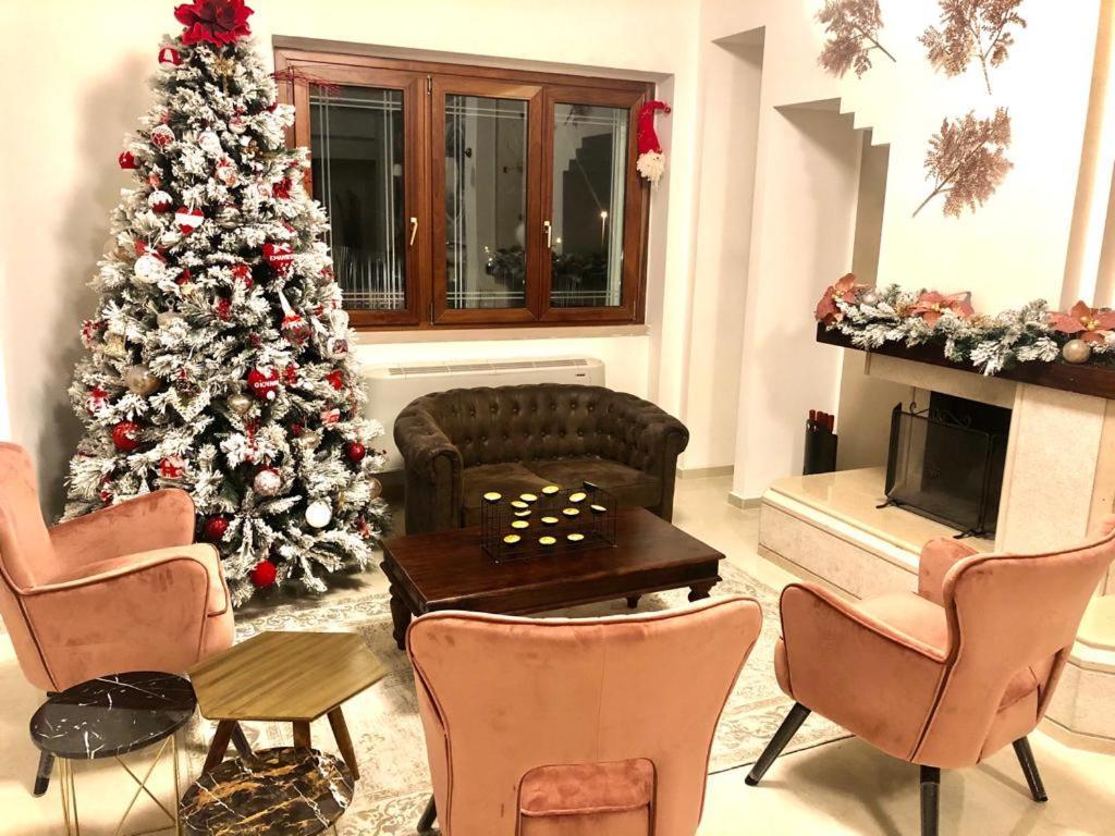 Villa Carmen Resort 캄포바소 외부 사진